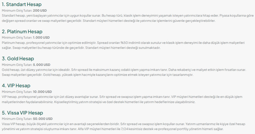 vissa group hesap türleri