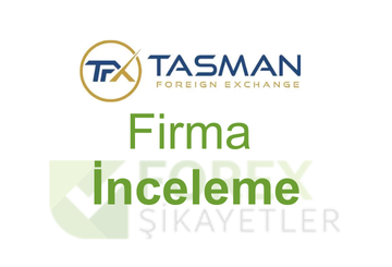tasman fx