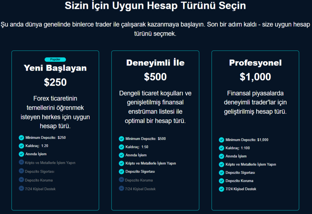 metiks hesap türleri