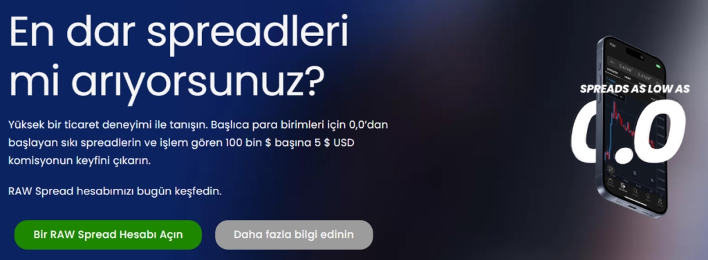 iym global hesap türleri