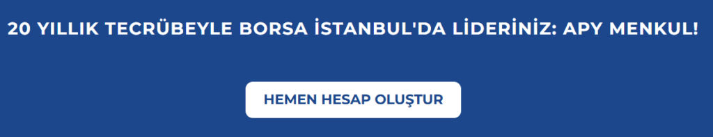 apy menkul hesap türleri
