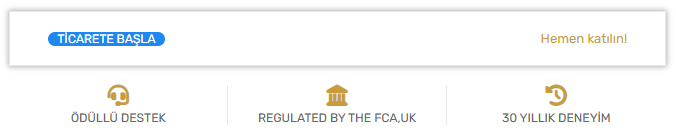 finaxis capital lisans
