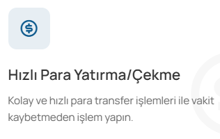 trade global invest ödeme yöntemleri