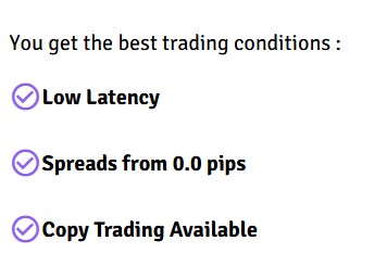 wavesoption hesap türleri